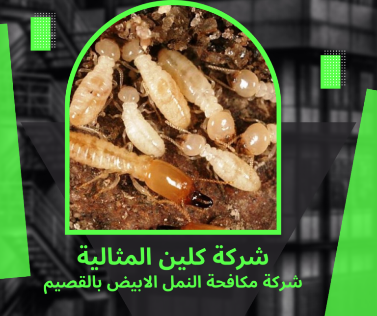 شركة مكافحة النمل الابيض بالقصيم 0534944217 رش الدفان و رش الارضة بالقصيم