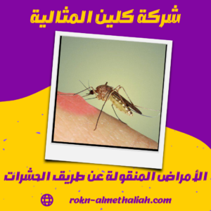 الأمراض المنقولة عن طريق الحشرات