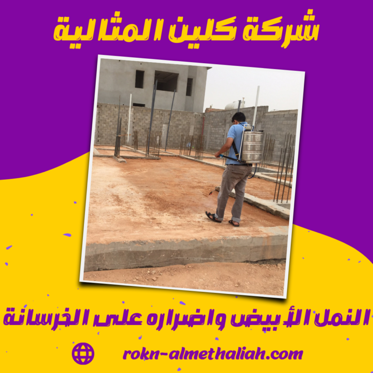 النمل الأبيض واضراره على الخرسانة