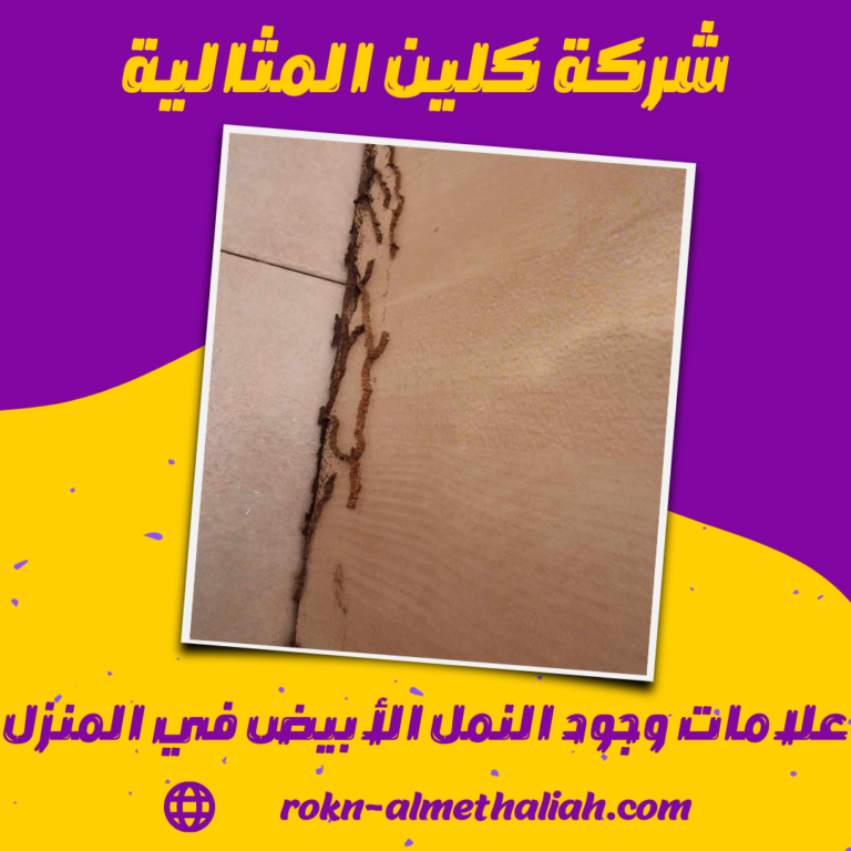 علامات وجود النمل الأبيض في المنزل