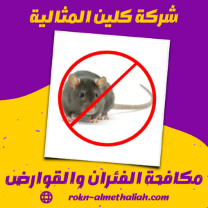 مكافحة الفئران والقوارض