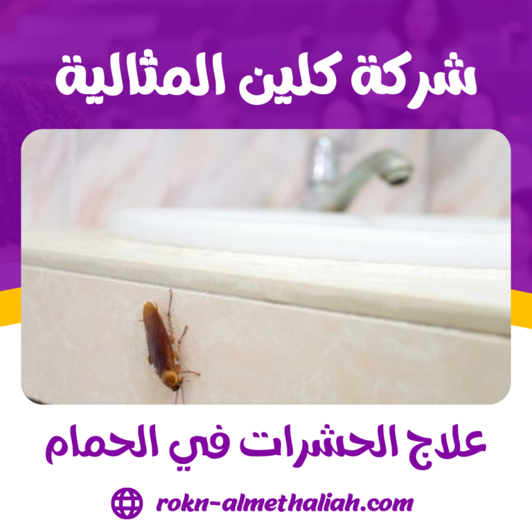 علاج الحشرات في الحمام