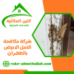 شركة مكافحة النمل الابيض بالظهران